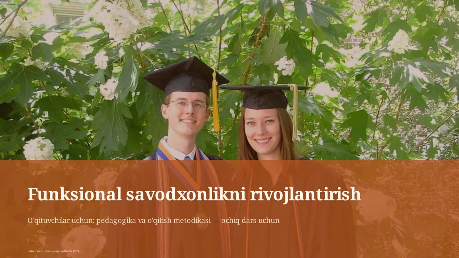 Funksional savodxonlikni rivojlantirish