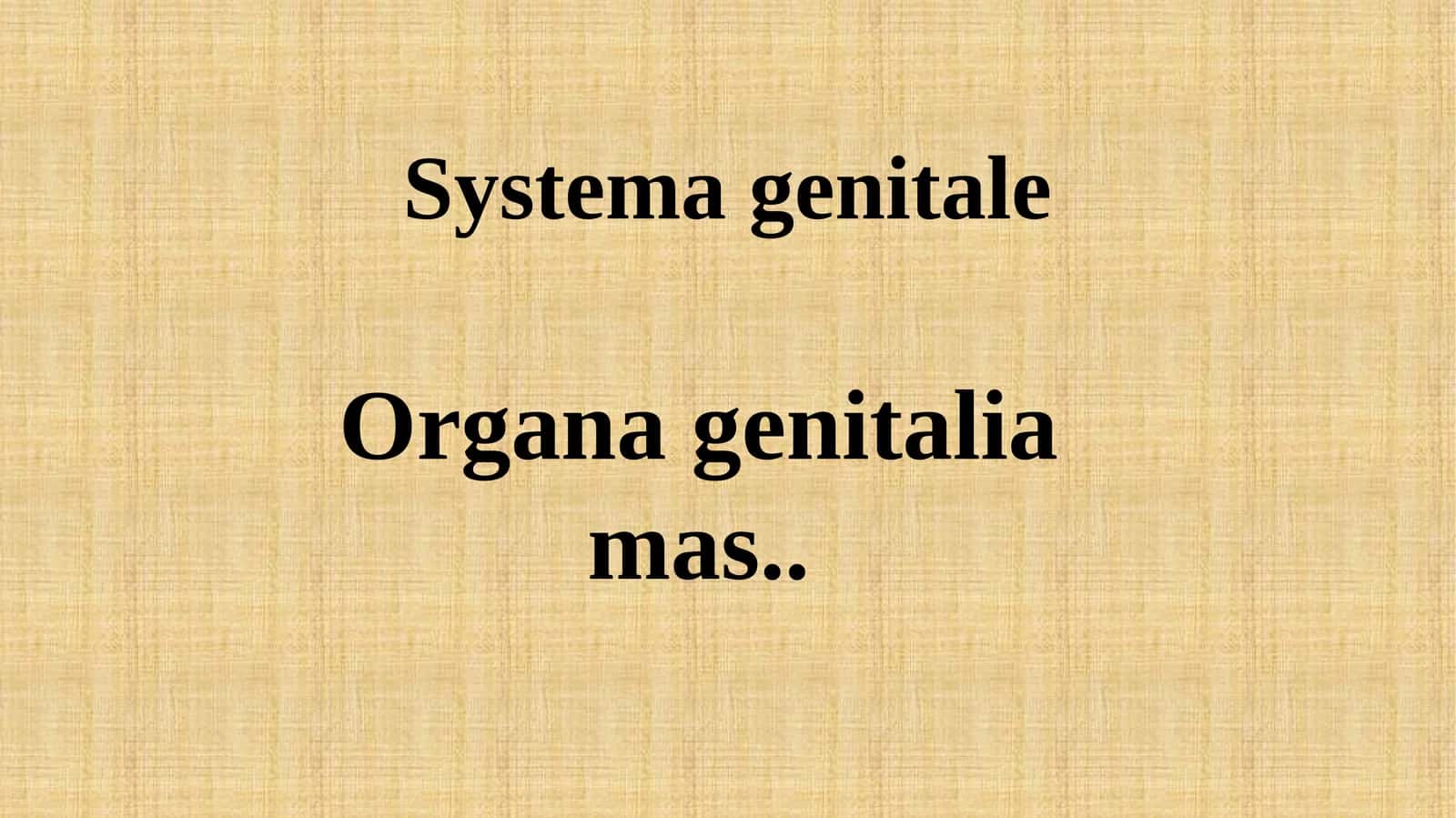 Systemagenitale