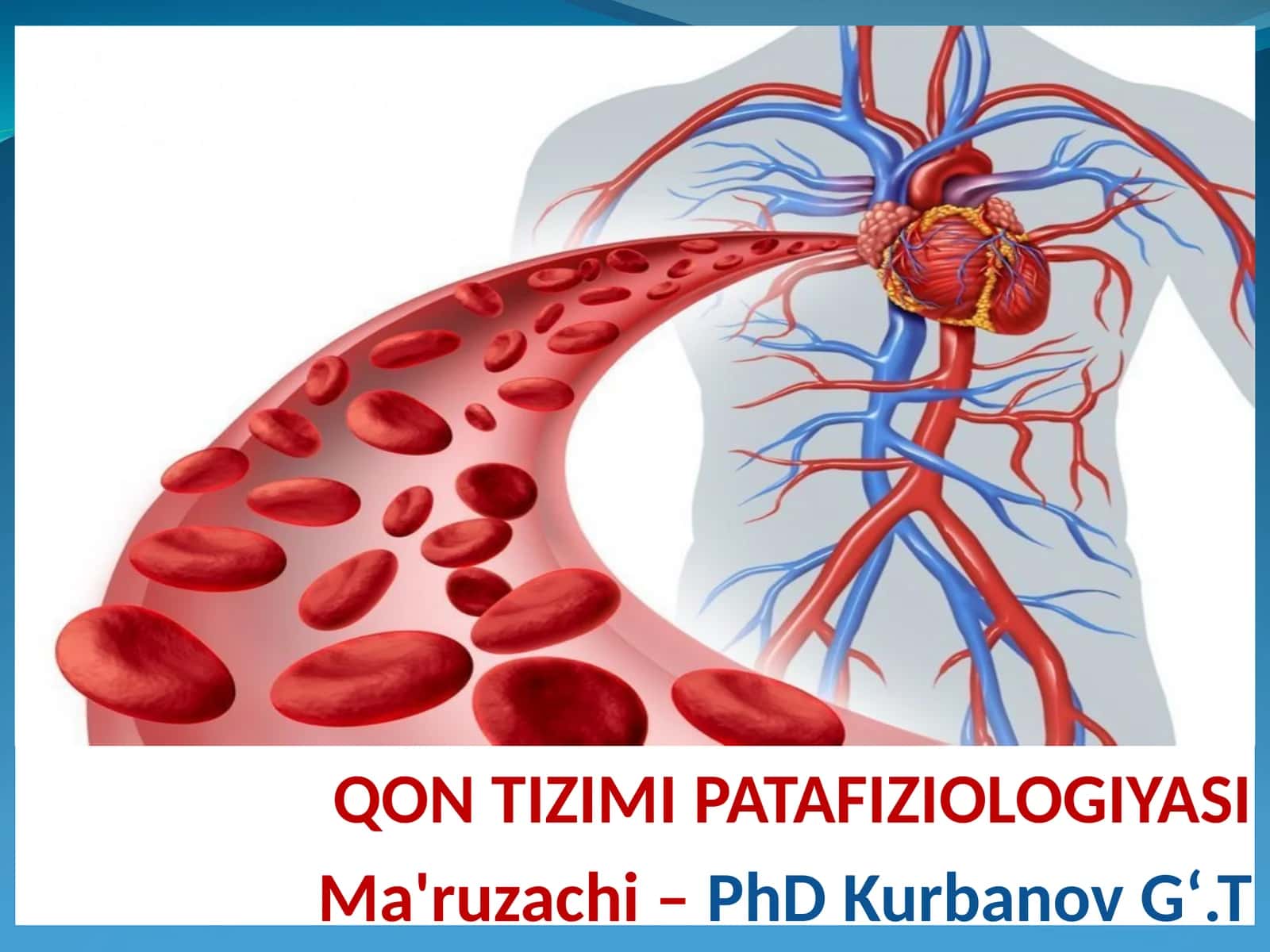 QON TIZIMI PATAFIZIOLOGIYASI