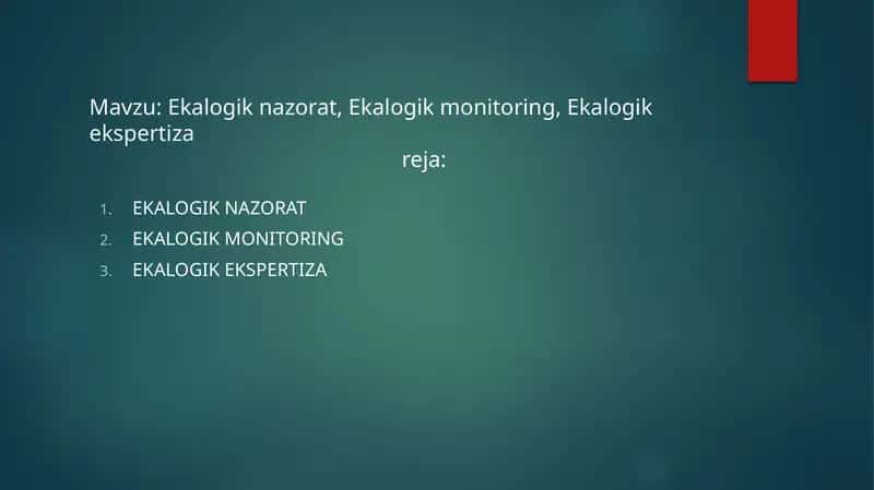 mustaqil ish slayt