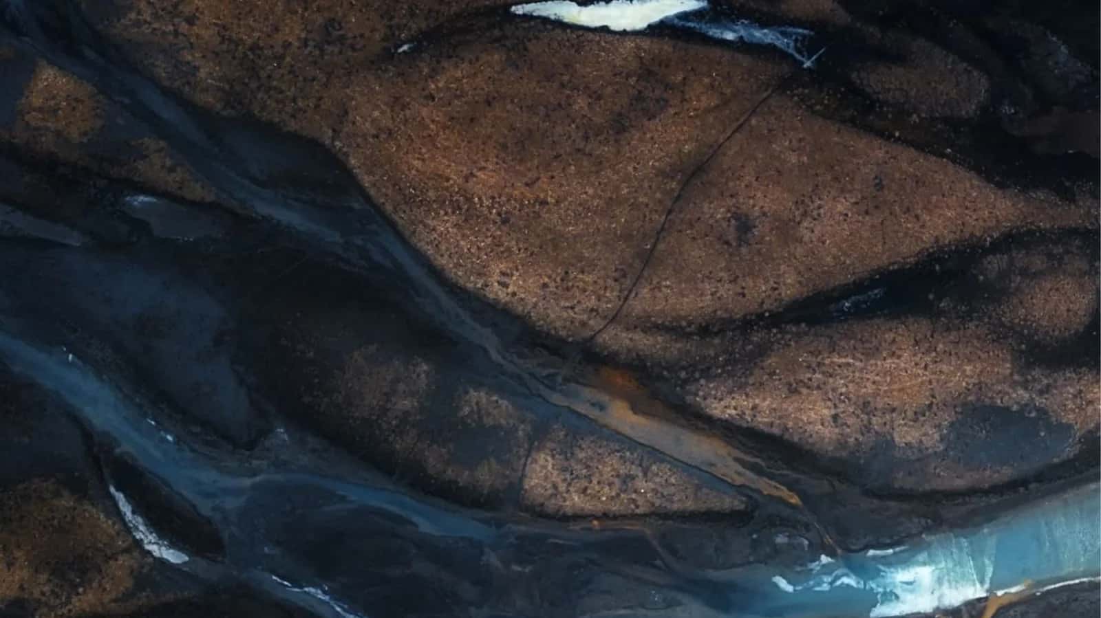 FEMUR