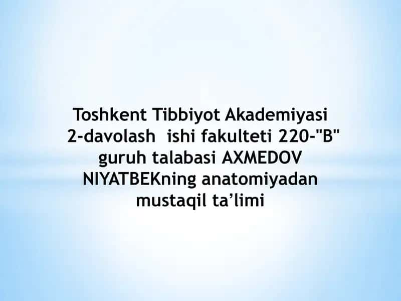 Orqa miya anatomiyasi