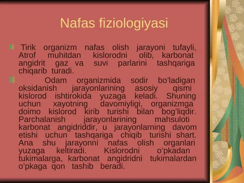 Nafas fiziologiyasi
