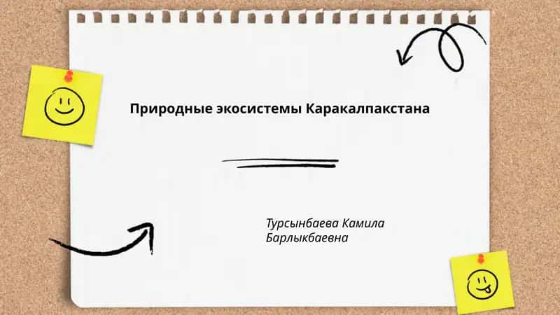 Природные экосистемы Каракалпакстана