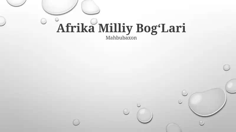 Afrika Milliy Bog‘Lari