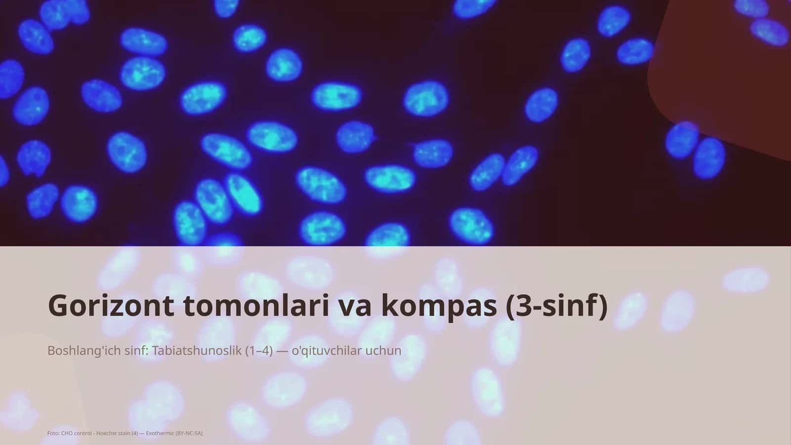 Gorizont tomonlari va kompas (3-sinf)