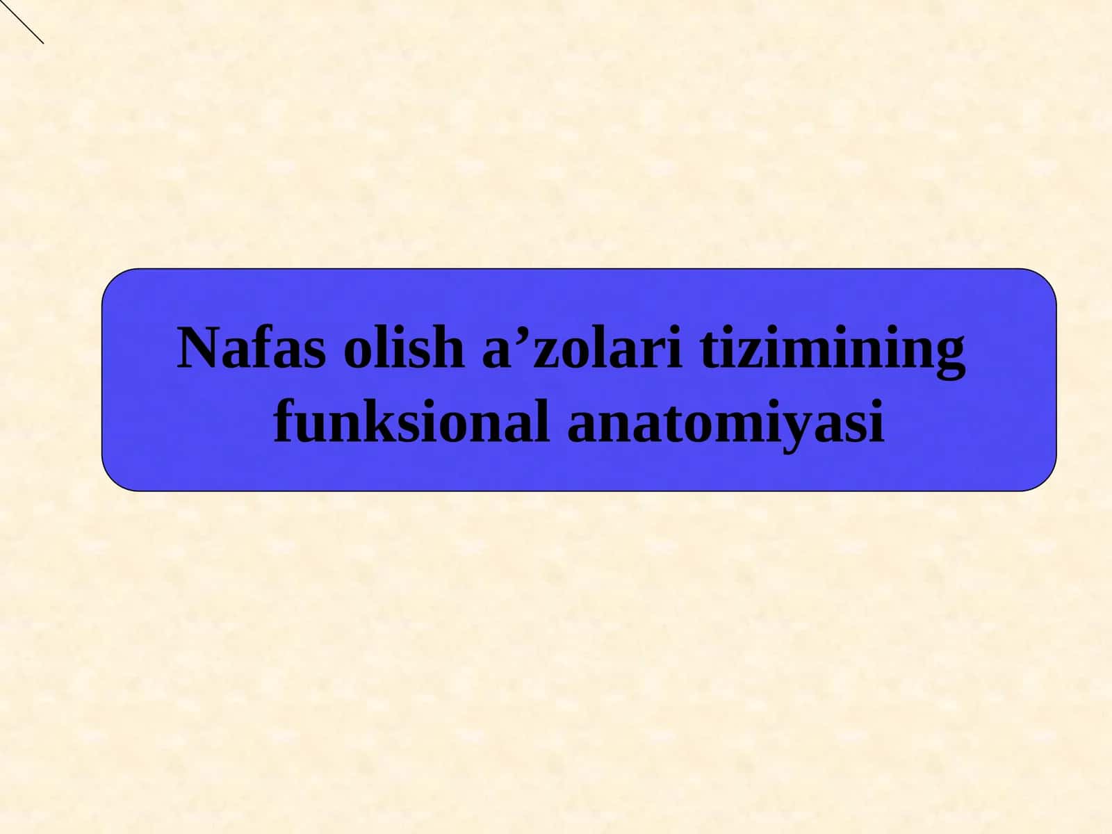 Nafas olish a`zolari tizimining funksional anatomiyasi