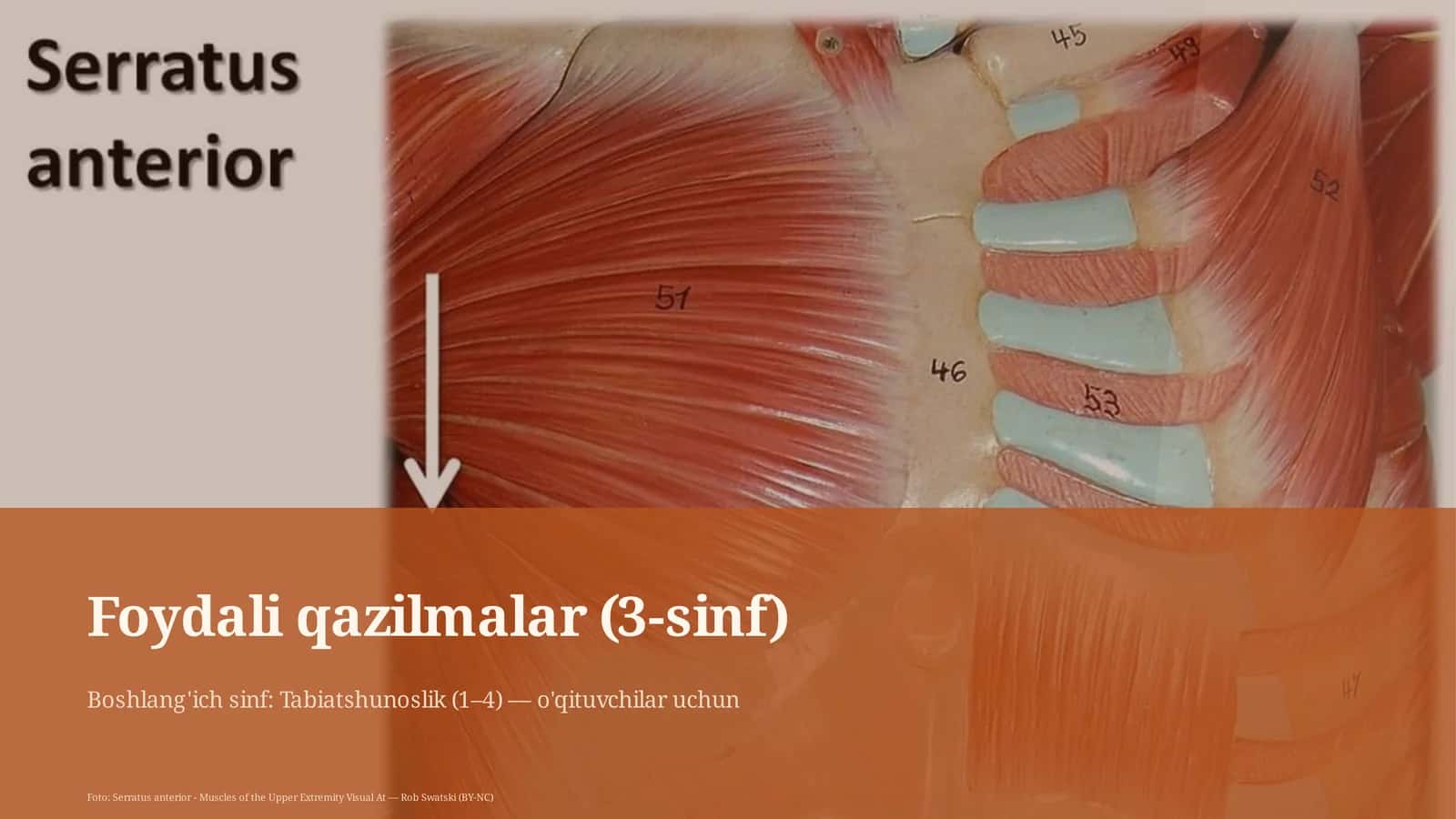 Foydali qazilmalar (3-sinf)