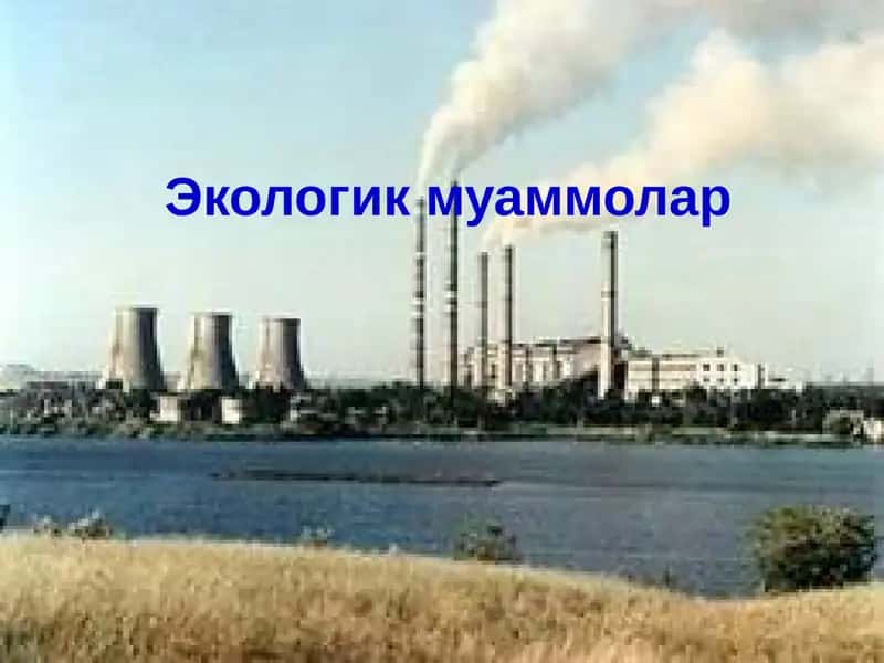 Экологик муаммолар