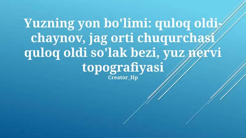 Yuz Nervining Topografiyasi va Shoxalari