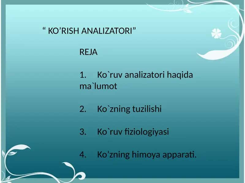 Ko'rish analizatori
