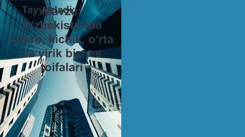 O‘zbekistonda mikro, kichik, o‘rta va yirik biznes toifalari