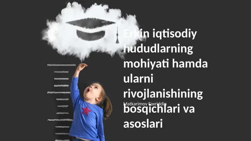 Erkin iqtisodiy zonalarning mohiyati