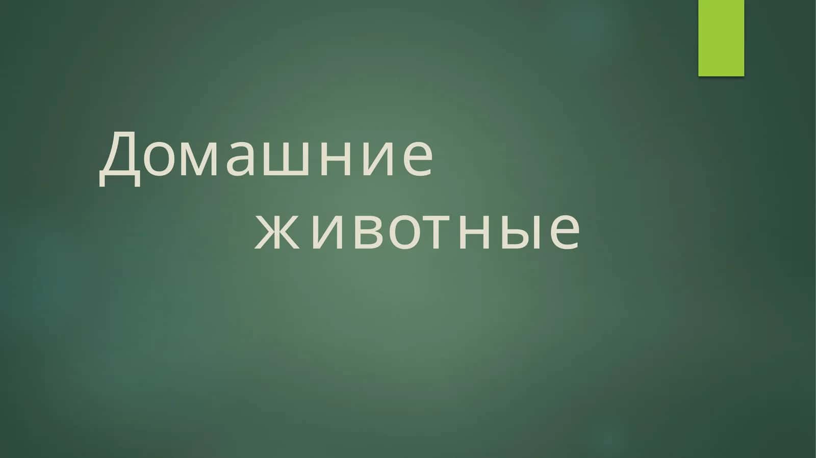 Домашние животные