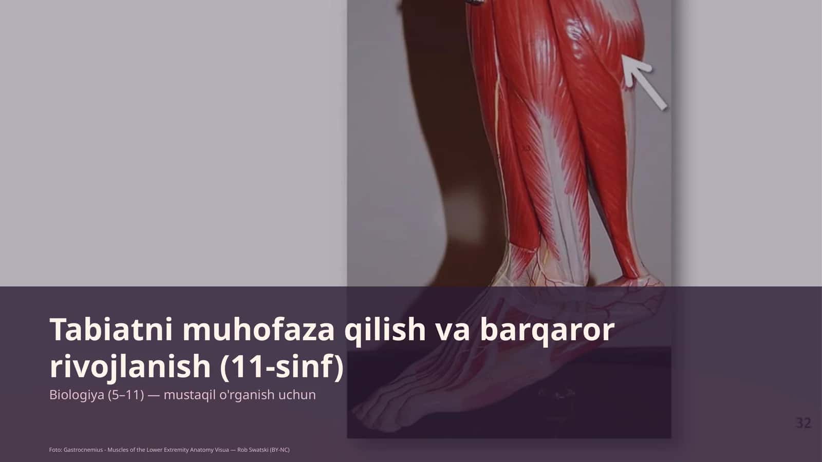 Tabiatni muhofaza qilish va barqaror rivojlanish (11-sinf)