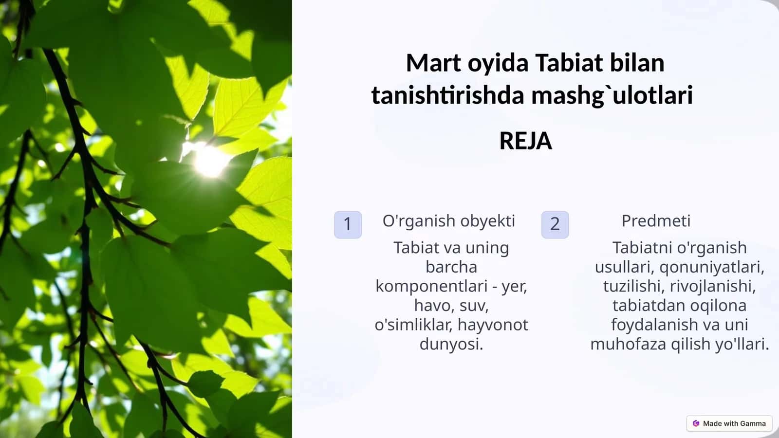 Martoyida Tabiat bilan tanishtirish mashg'ulotlari