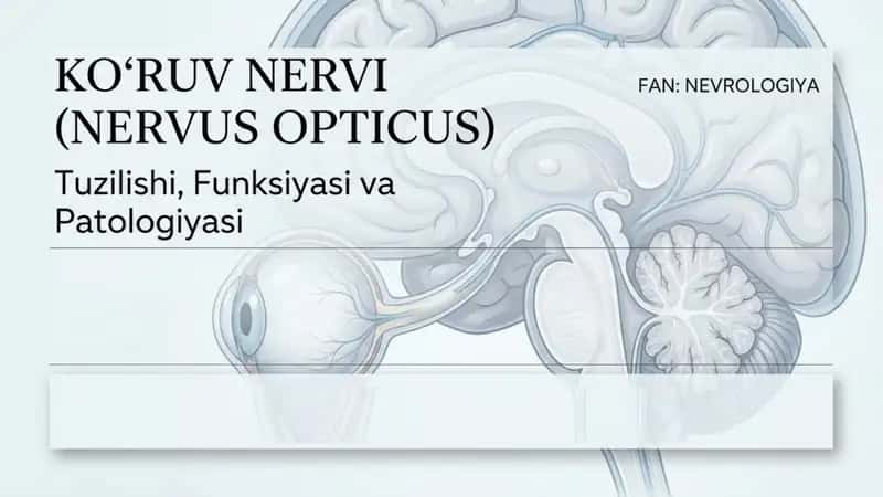 Koʻruv nervi tuzilishi funksiyasi va patalogiyasi