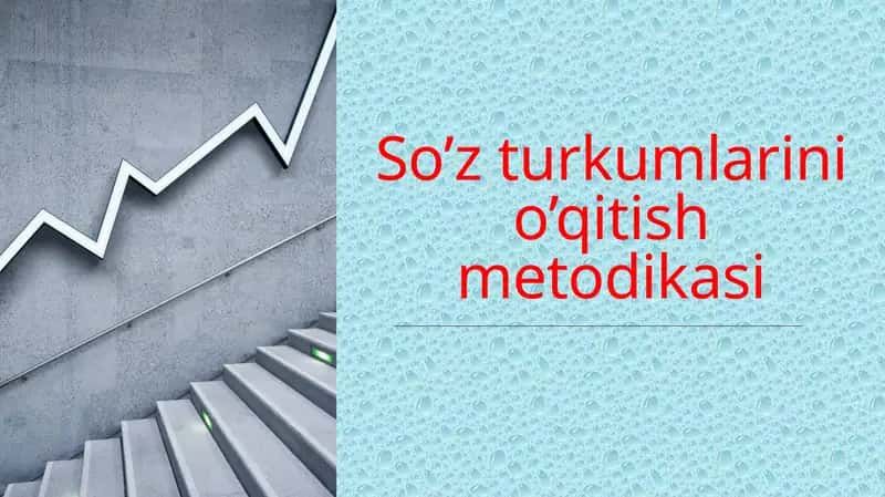 So’zturkumlarinio’qitishmetodikasi