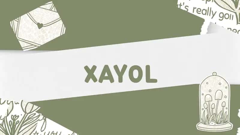 Xayol