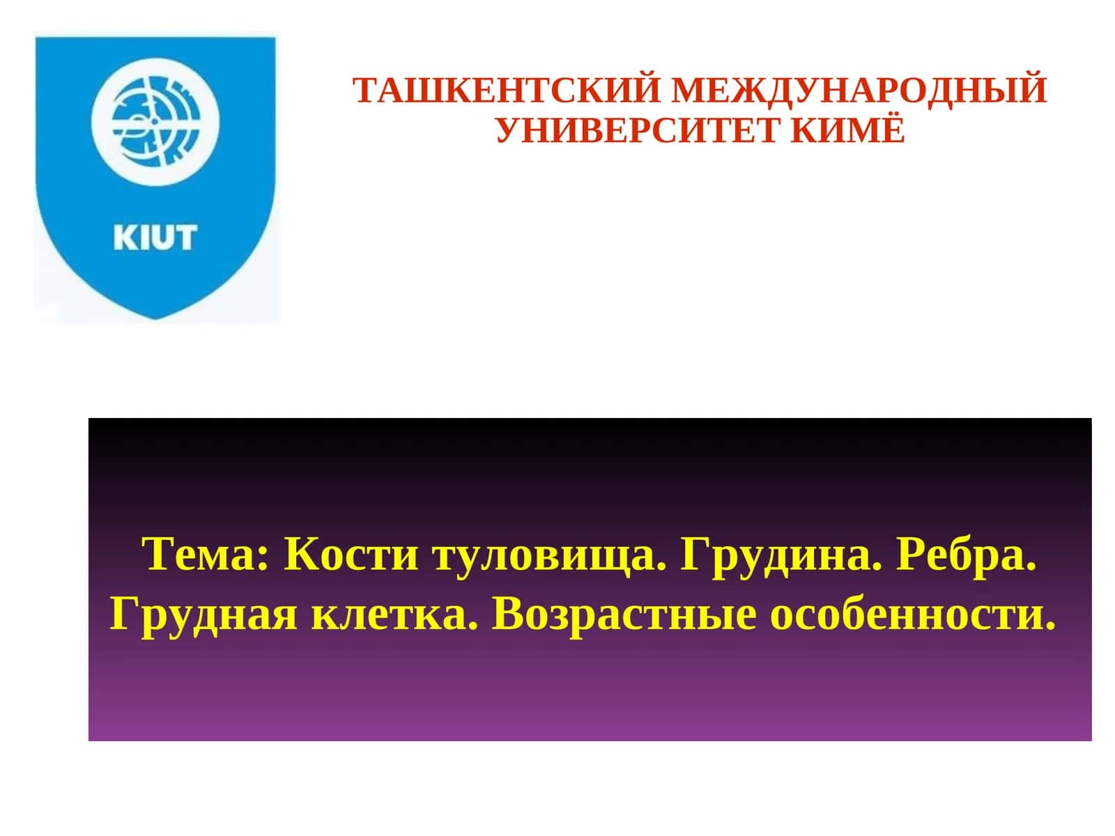 Скелет грудной клетки