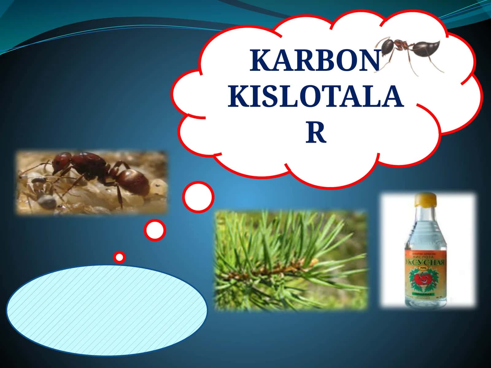 KARBON KISLOTALAR
