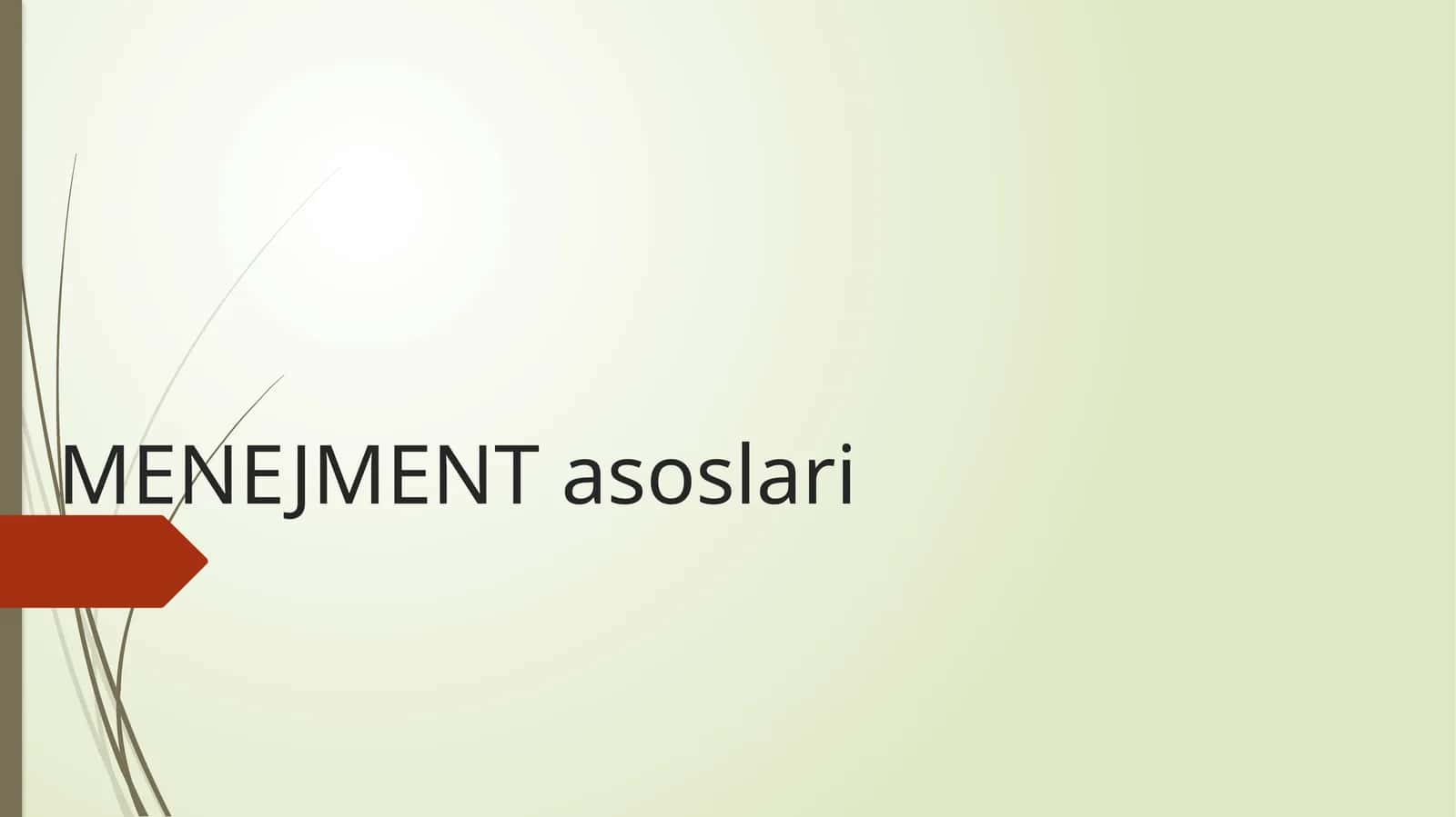 MENEJMENT asoslari