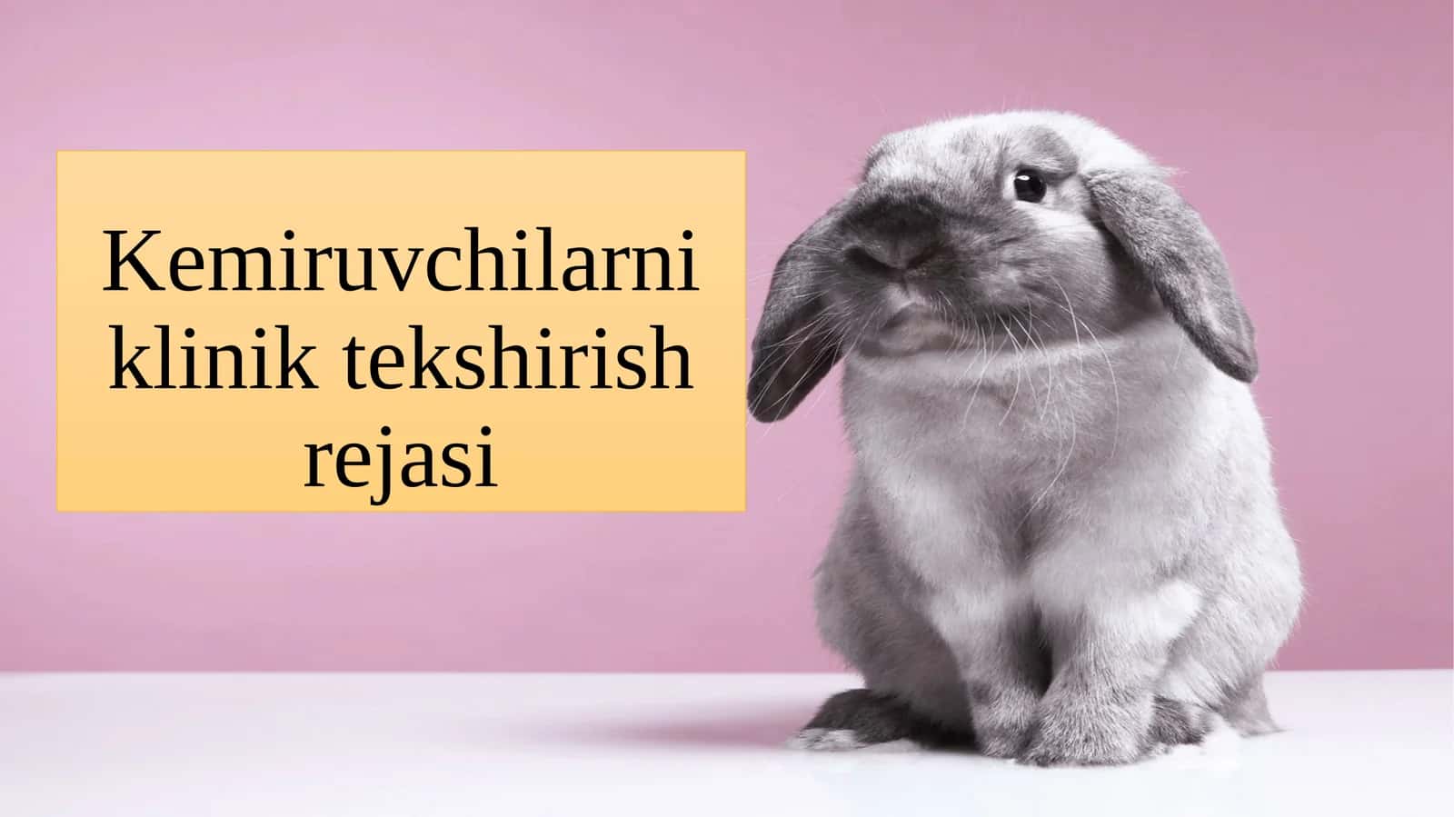 Kemiruvchilarni klinik tekshirish rejasi