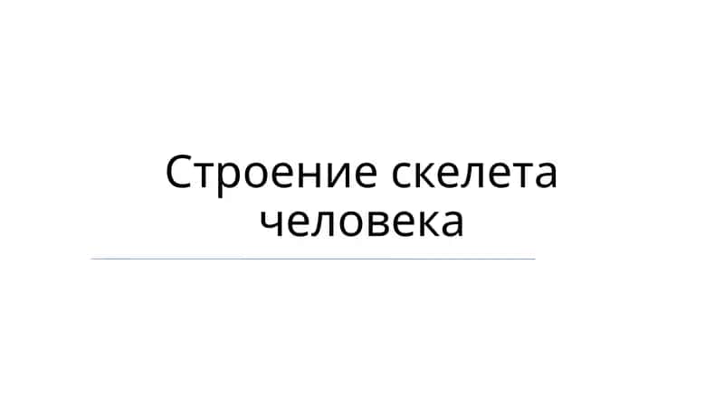 Пояс верхних конечностей