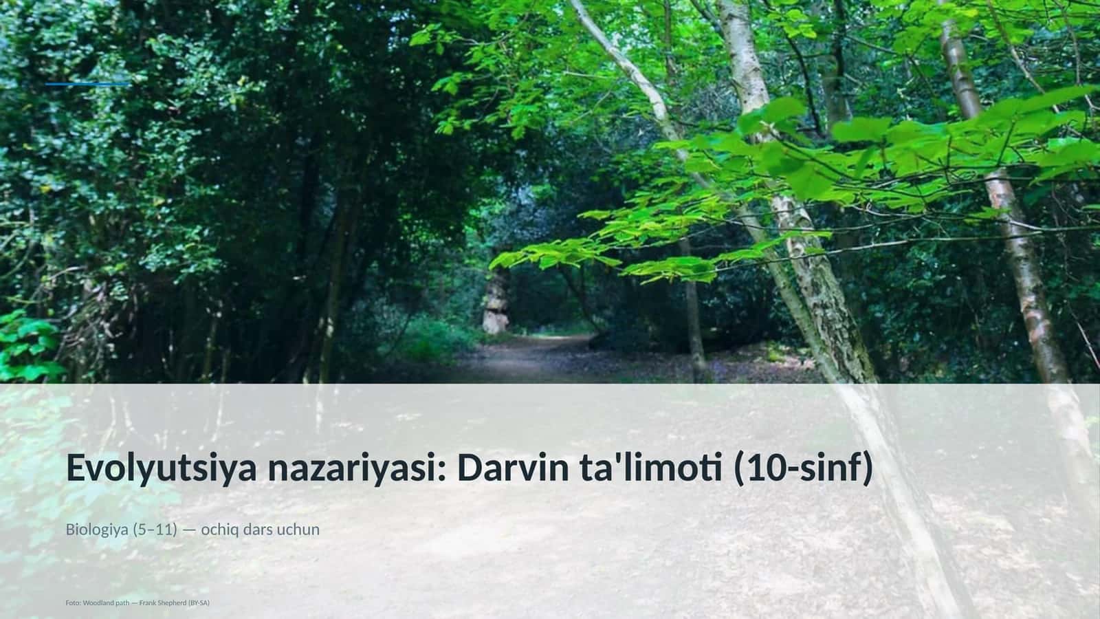 Evolyutsiya nazariyasi: Darvin ta'limoti (10-sinf)