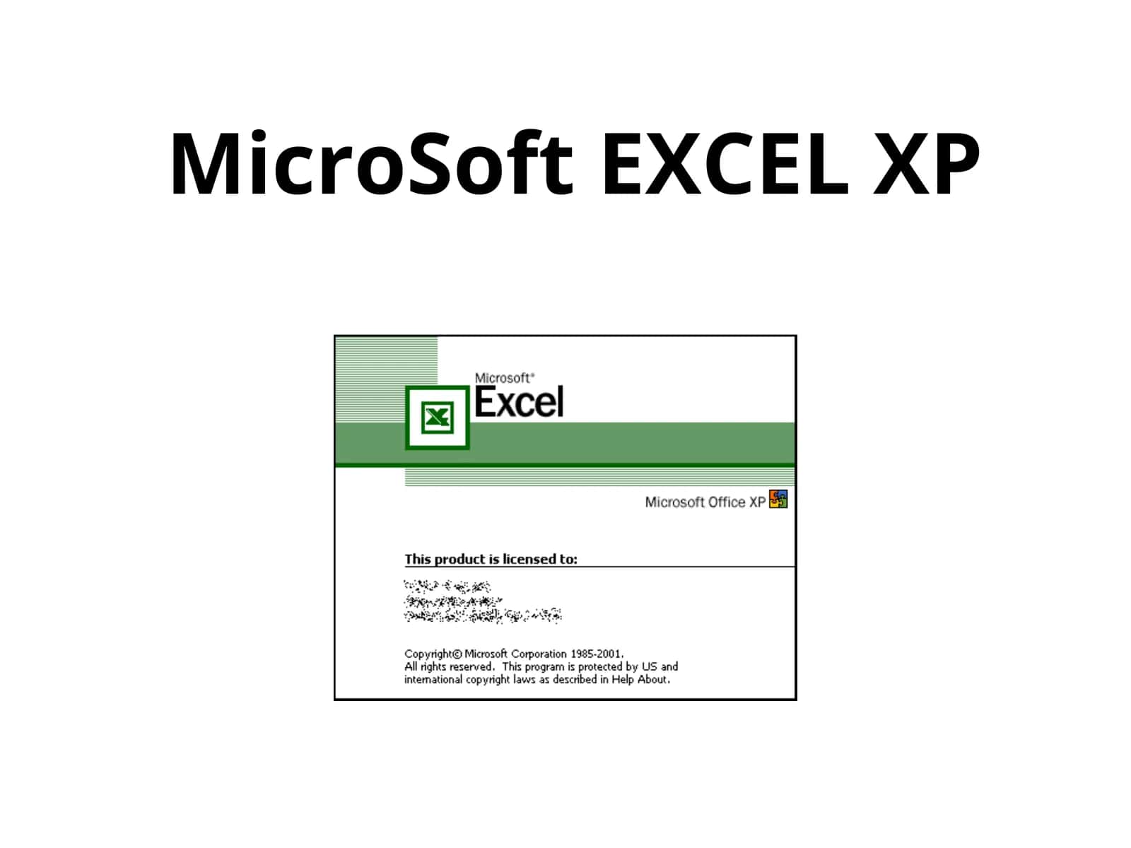 MicroSoft EXCEL XP