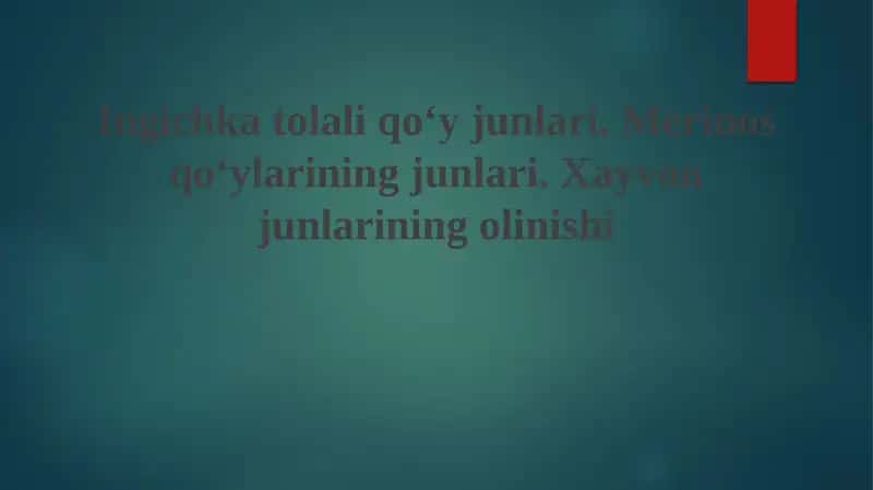 Nozik junli qo'ylar