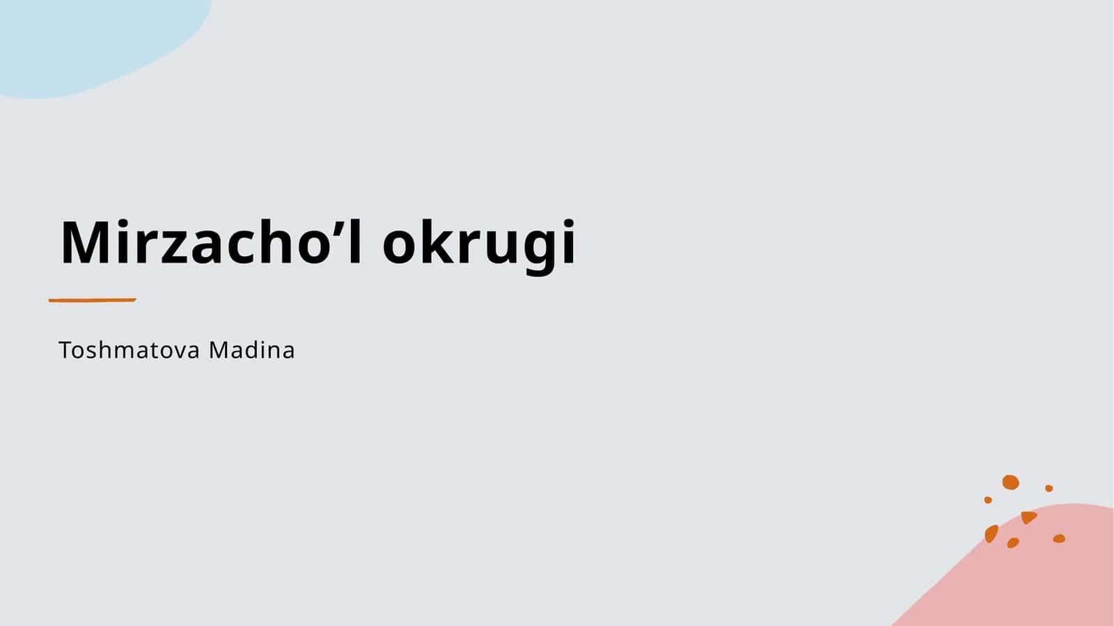 Mirzacho’l okrugi