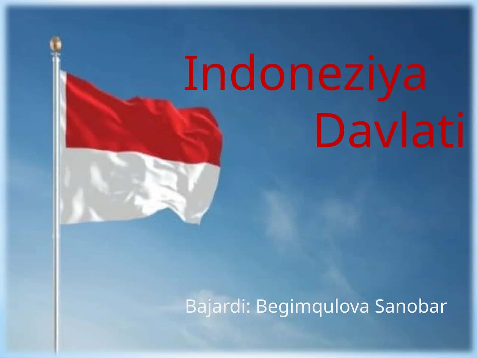 Indoneziya Davlati