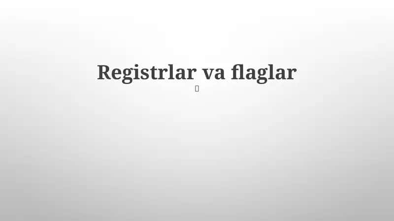 Registrlar va flaglar