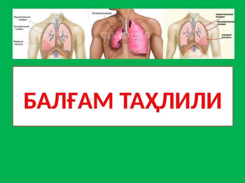 Балғам Таҳлили