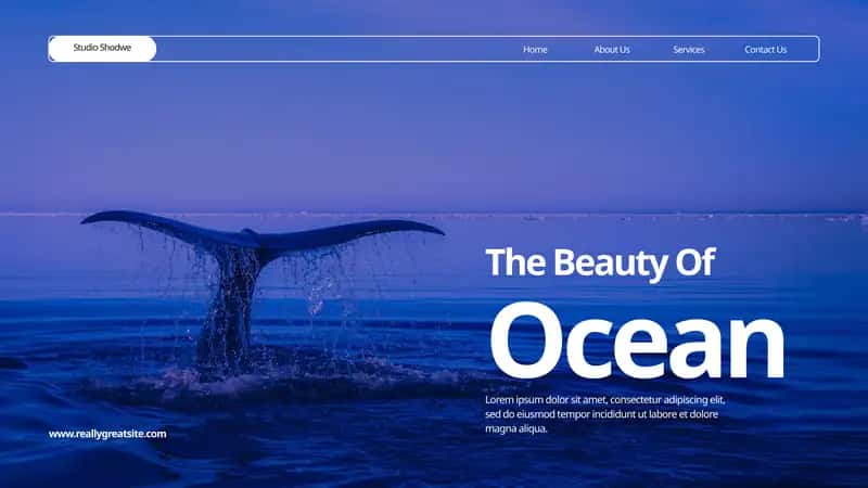 The beauty of Ocean