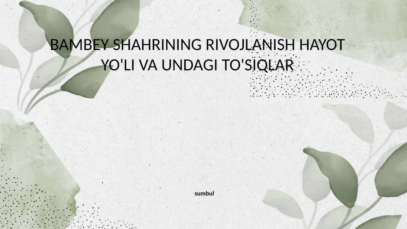 BAMBEY SHAHRINING RIVOJLANISH HAYOT YO'LI VA UNDAGI TO'SIQLAR