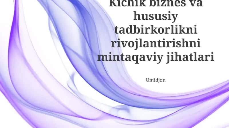 Kichik biznes va hususiy tadbirkorlikni rivojlantirishni mintaqaviy jihatlari