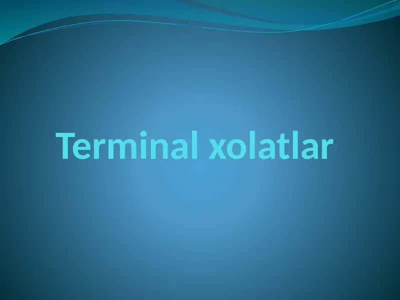 Terminal xolatlar