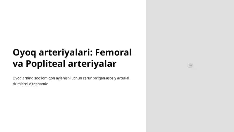 Oyoq arteriyalari: Femoral va Popliteal arteriyalar