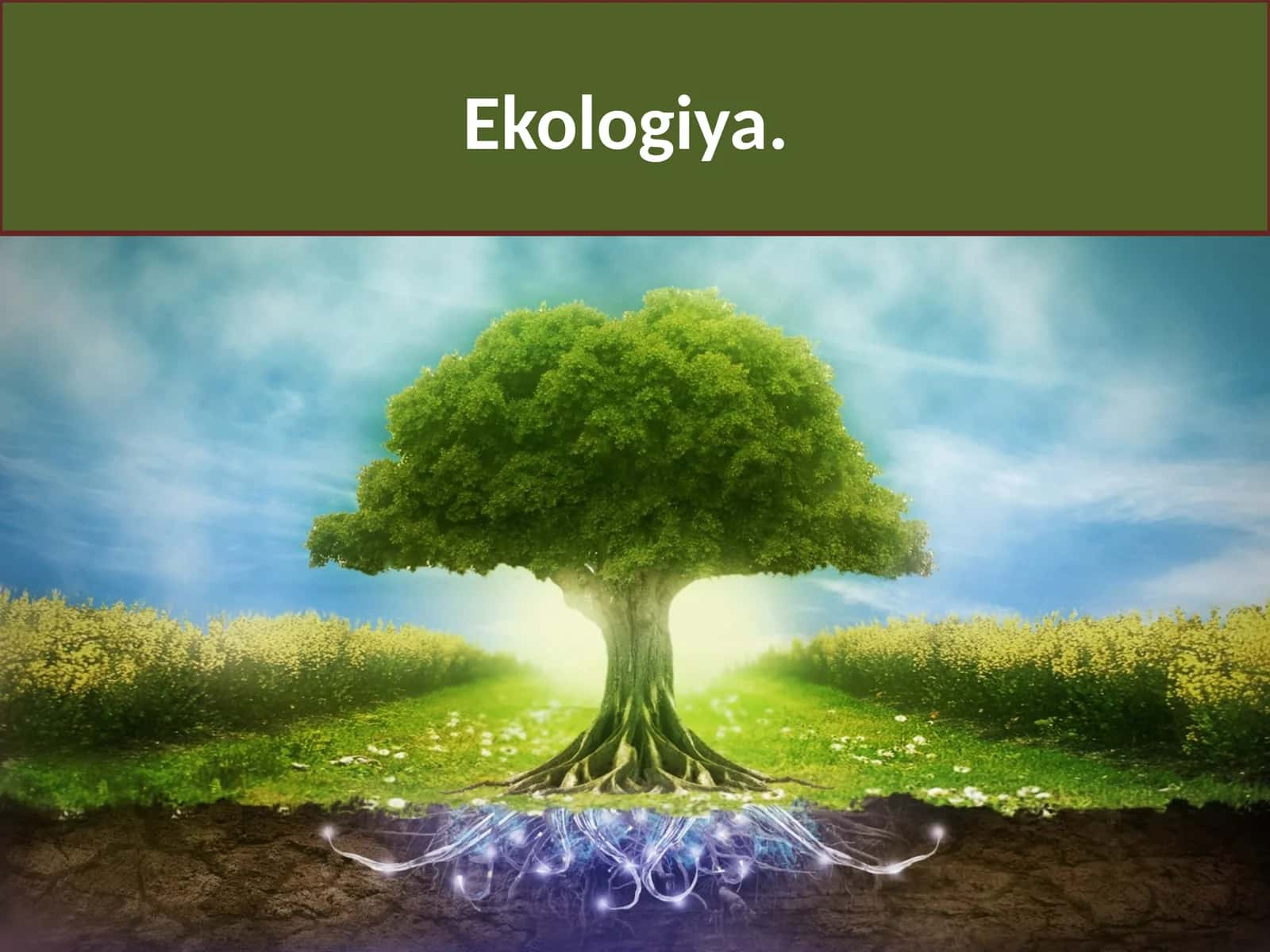 Ekologiya va tabiiy resurslardan oqilona foydalanish