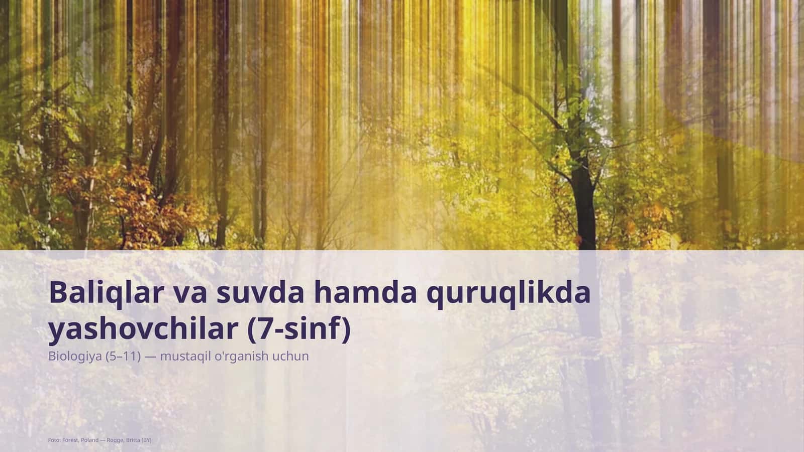 Baliqlar va suvda hamda quruqlikda yashovchilar (7-sinf)