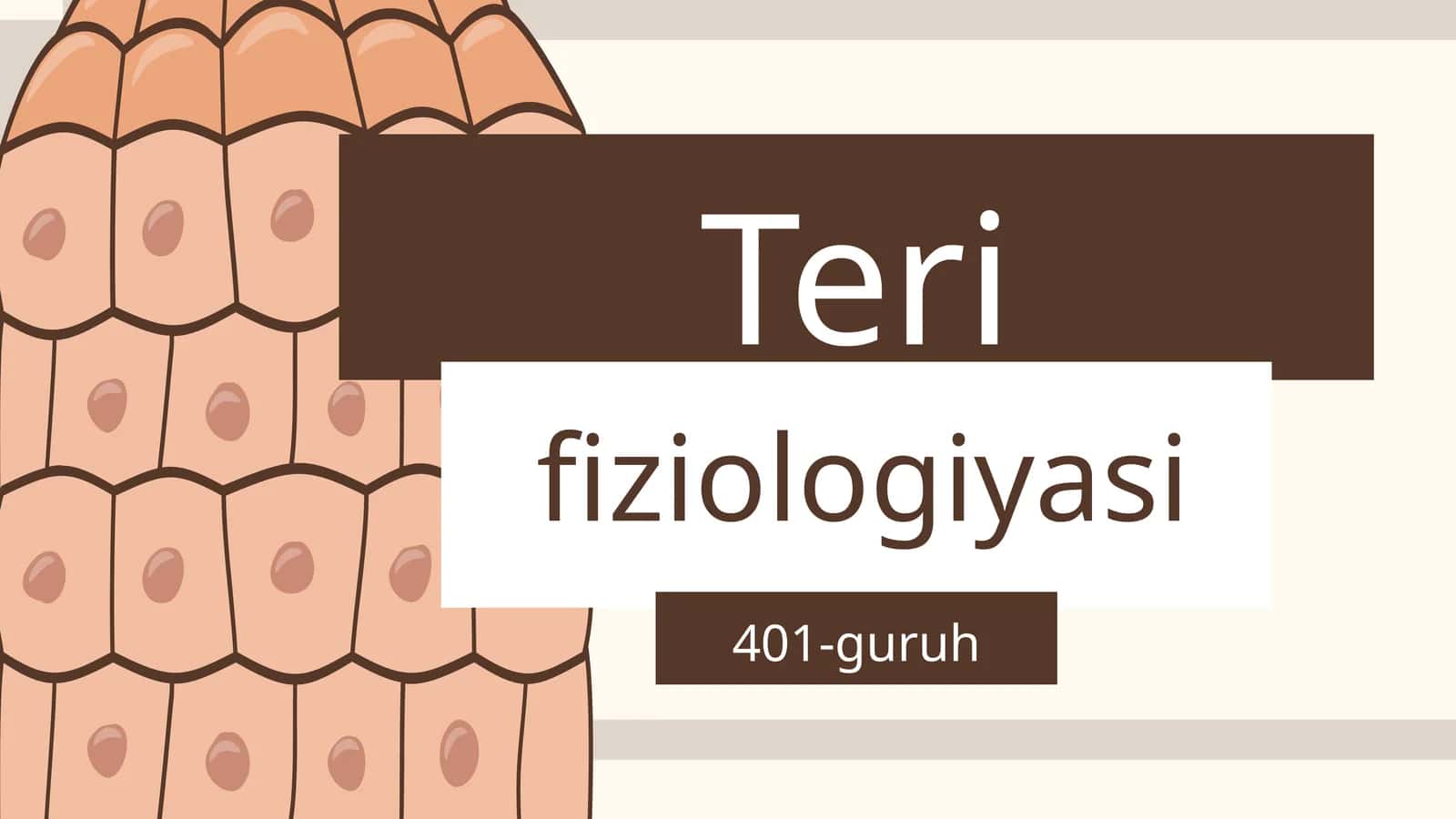 Teri fiziologiyasi