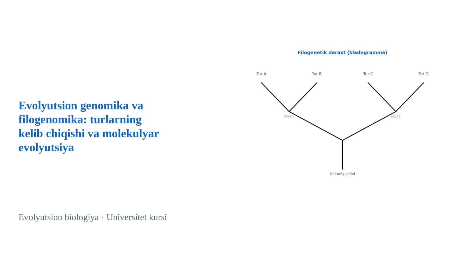 Evolyutsion genomika va filogenomika: turlarning kelib chiqishi va molekulyar evolyutsiya