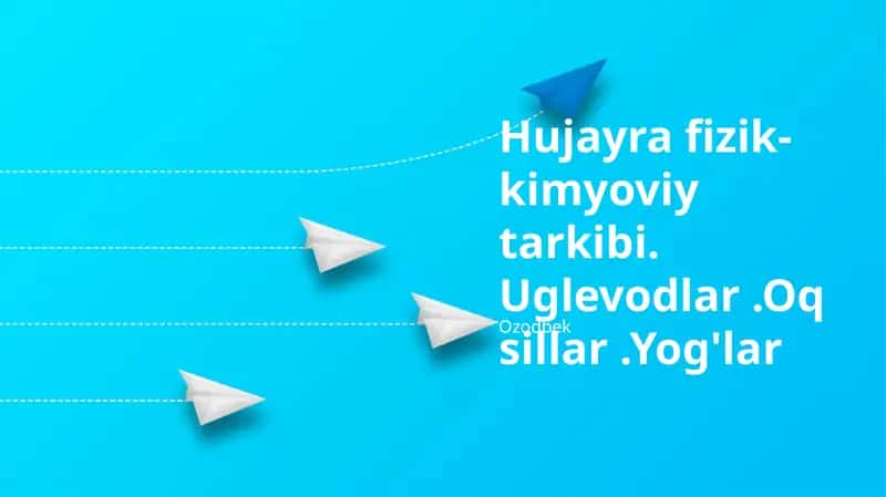 Lipidlar: Yog'lar va Membranalarning Xilma-xil Vazifalari