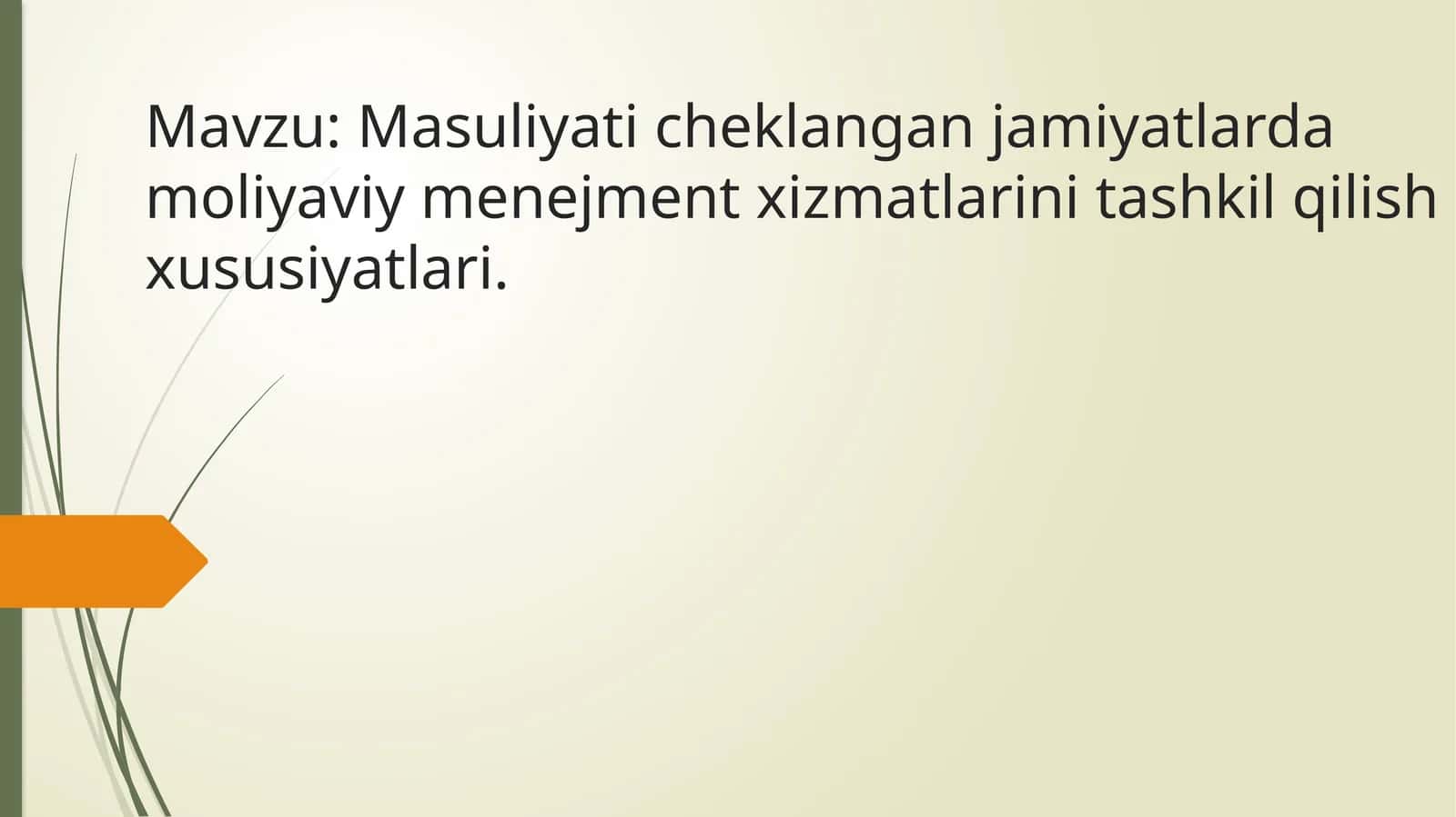 Masuliyat cheklangan jamiyatlarda moliyaviy menegment xizmatlari