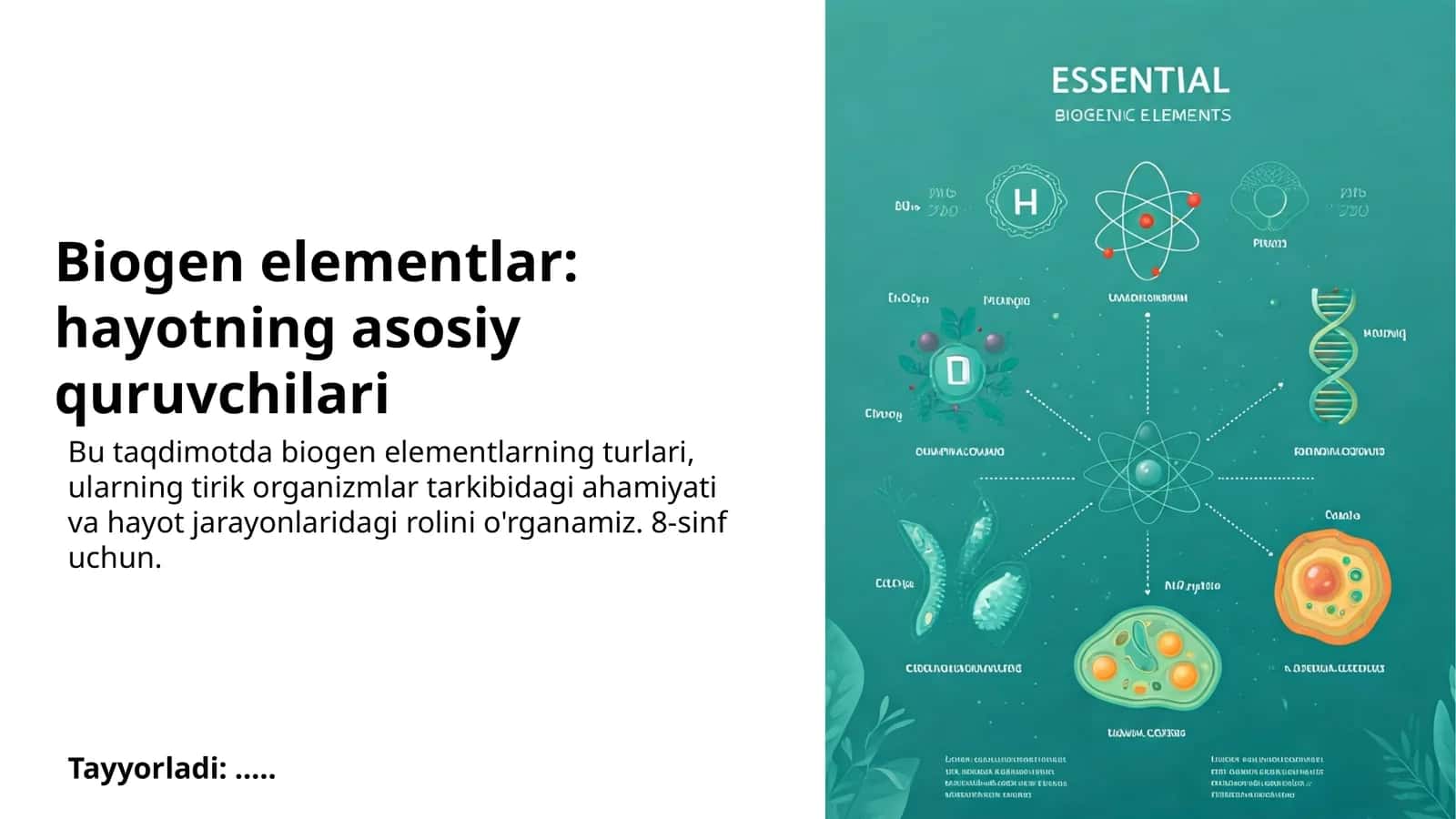 Biogen elementlar: hayotning asosiy quruvchilari
