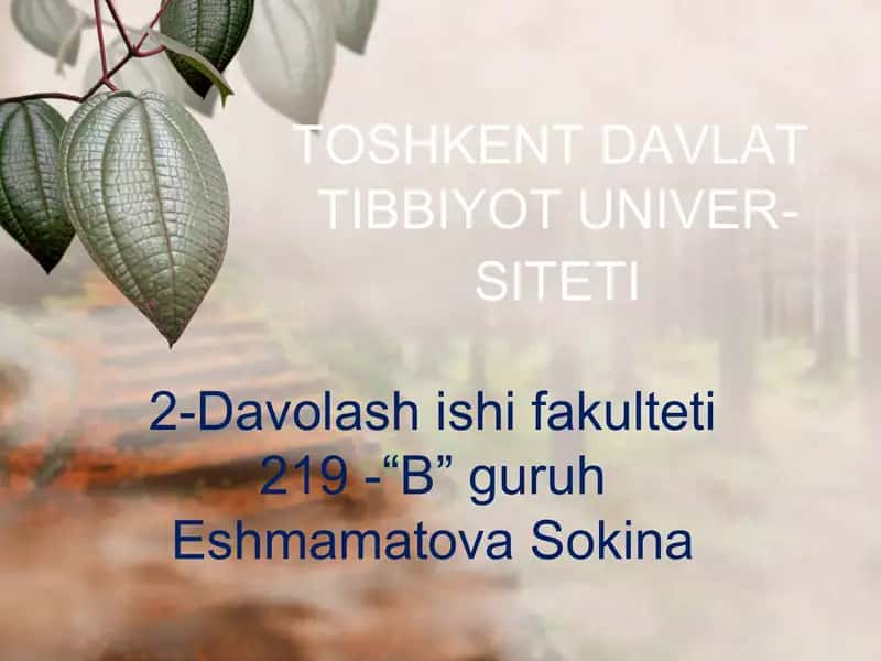 Shaxsiy himoya vositalari. Maxsus himoya vositalari