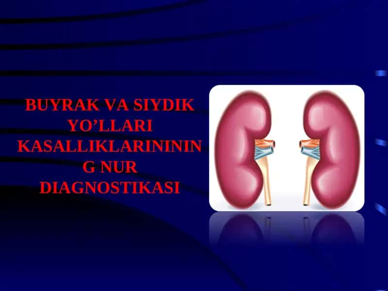 BUYRAK VA SIYDIK YO’LLARI KASALLIKLARININING NUR DIAGNOSTIKASI