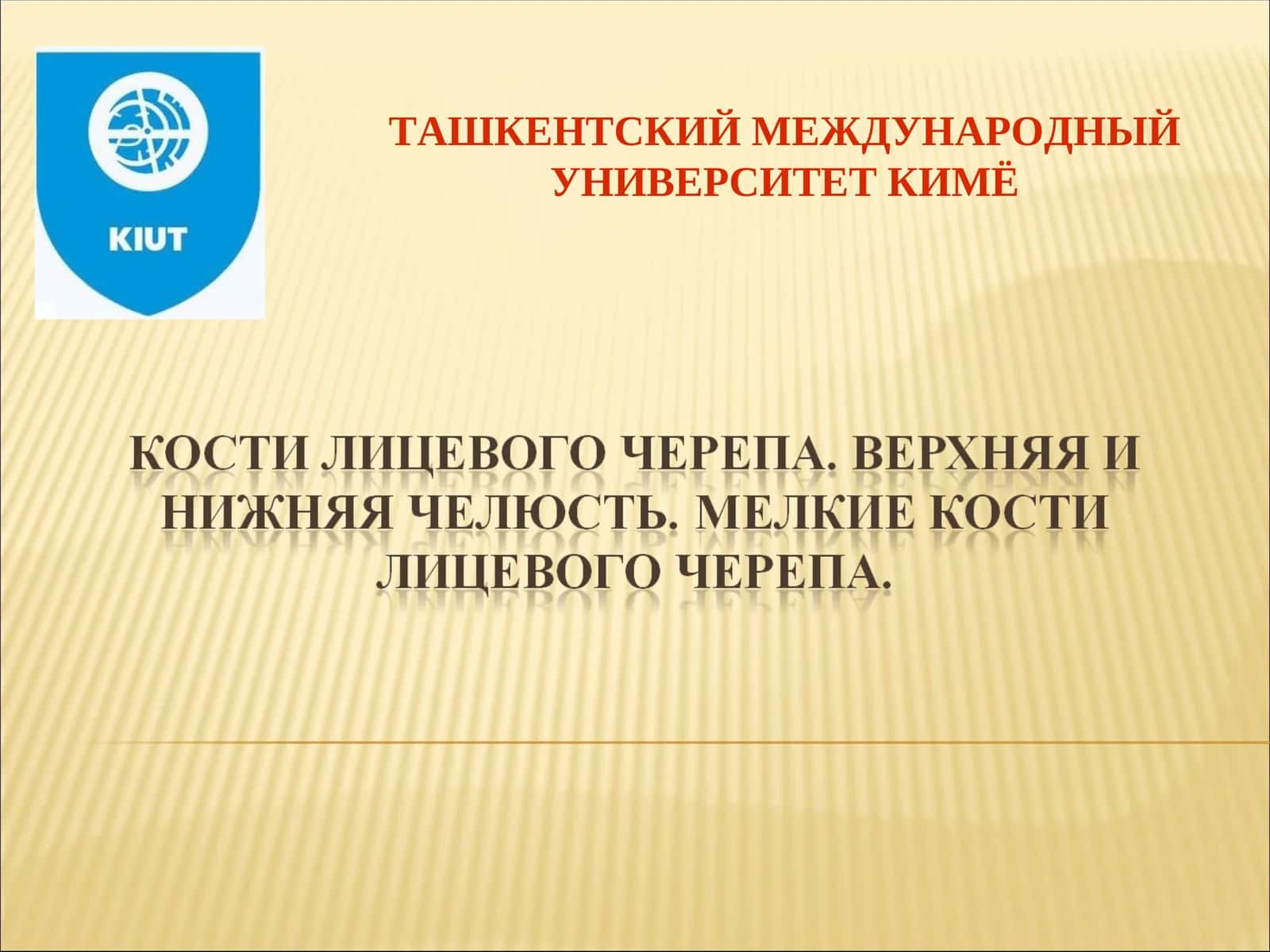 ТАШКЕНТСКИЙ МЕЖДУНАРОДНЫЙ УНИВЕРСИТЕТ КИМЁ